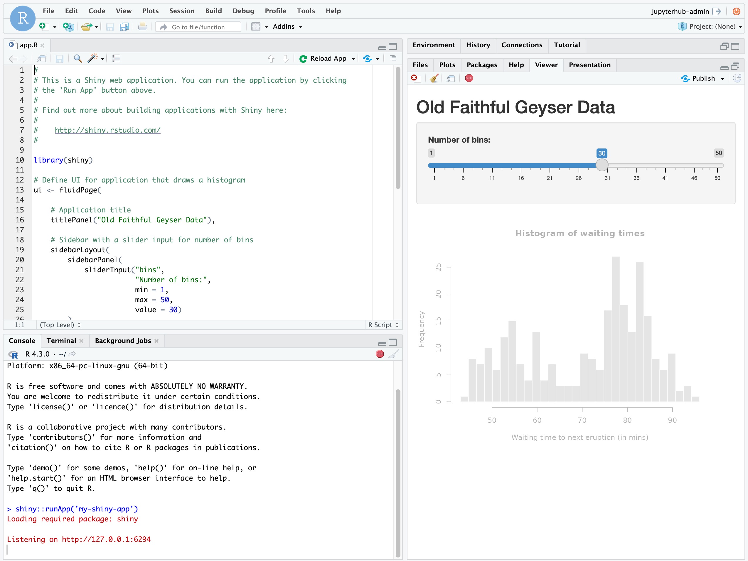 RStudio Shiny