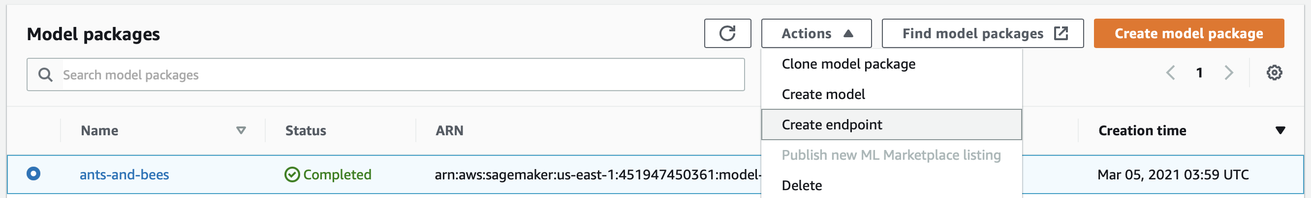Create model package