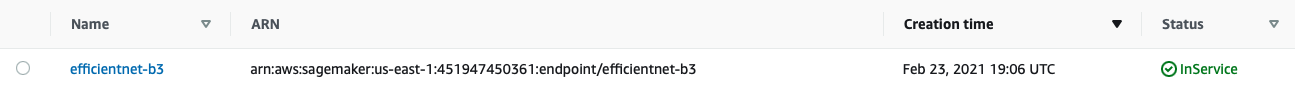 SageMaker efficientnet-b3 endpoint